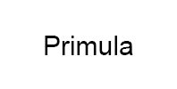 Ремонт кофемашины модели Primula в Хотьково Ремонт кофемашин Primula